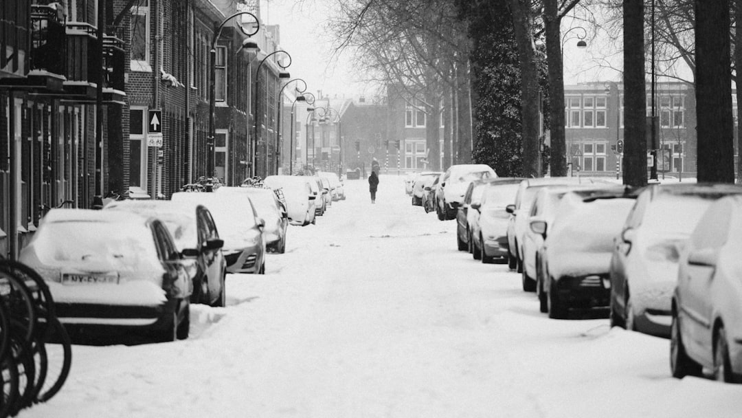 Wet Winters